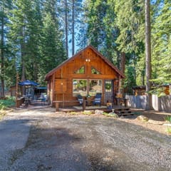 Aidenn’s Cabin - Walk to Tahoe Park Private Beach!