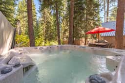 Tahoe Park Beauty w/ Private Hot Tub!